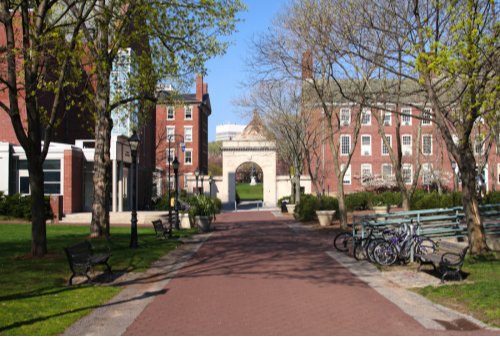 Brown University's Early Decision Results for Class 2029