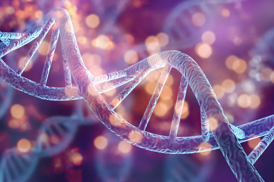 Computational Biology Research Project Summer 2026