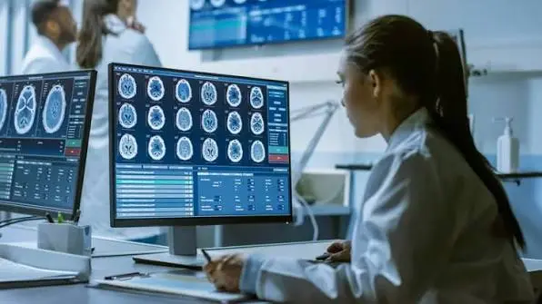 Neuroscience Fellowship