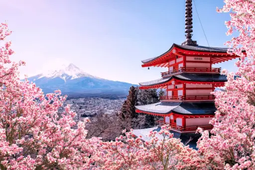 Volunteer Abroad Japan 2026