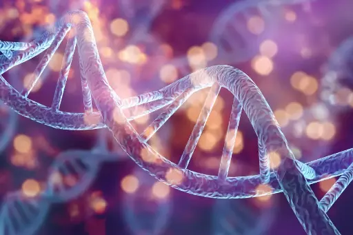 Computational Biology Research Project Summer 2026